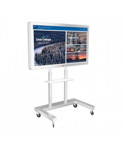 ИНТЕРАКТИВНАЯ ПАНЕЛЬ STORM MINI 43"