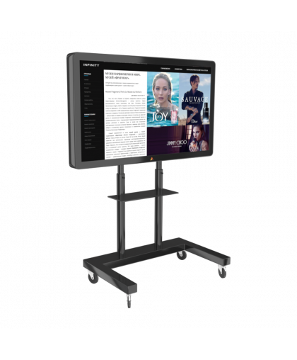 ИНТЕРАКТИВНАЯ ПАНЕЛЬ STORM PREMIUM 65"