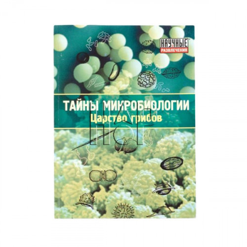 ЦАРСТВО ГРИБОВ