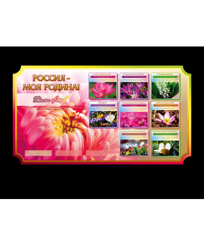 НАГЛЯДНЫЕ ПОСОБИЯ ПО ГЕОГРАФИИ купить
