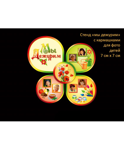 МЫ ДЕЖУРИМ купить