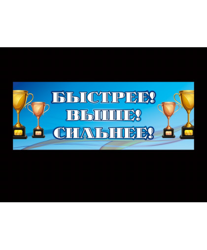 БАННЕР СПОРТИВНЫЙ ДЛЯ ШКОЛЫ купить