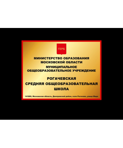 ФАСАДНАЯ ВЫВЕСКА ДЛЯ ШКОЛЫ, ЗОЛОТИСТАЯ купить