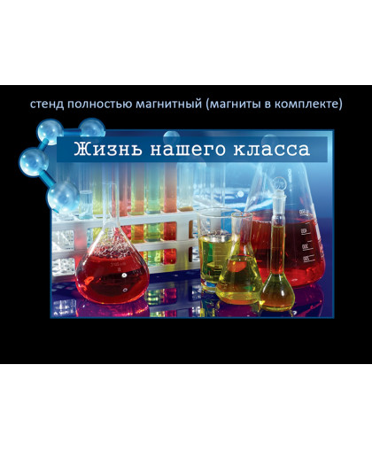ЖИЗНЬ НАШЕГО КЛАССА купить