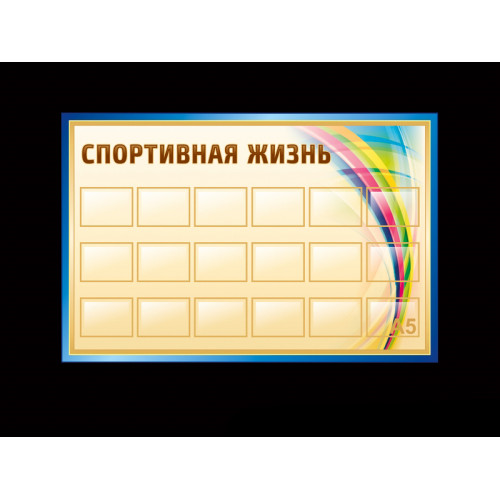 СПОРТИВНАЯ ЖИЗНЬ