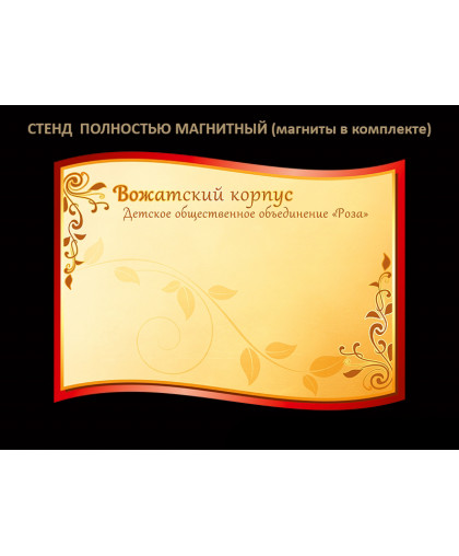 ВОЖАТСКИЙ КОРПУС купить
